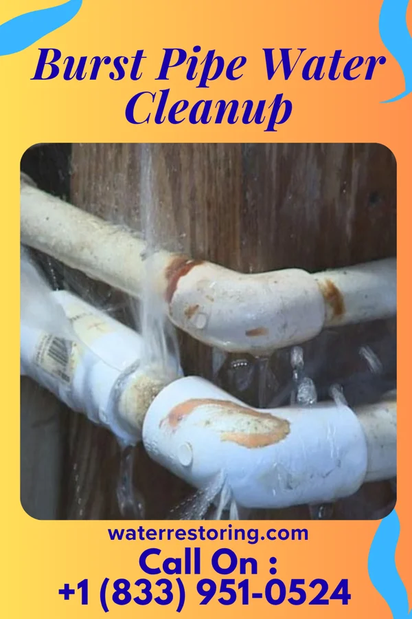Burst Pipe Water Cleanup in Trenton, UT