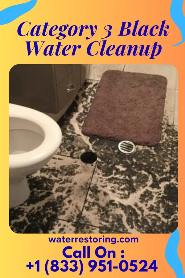 Category 3 Black Water Cleanup in Trenton, UT