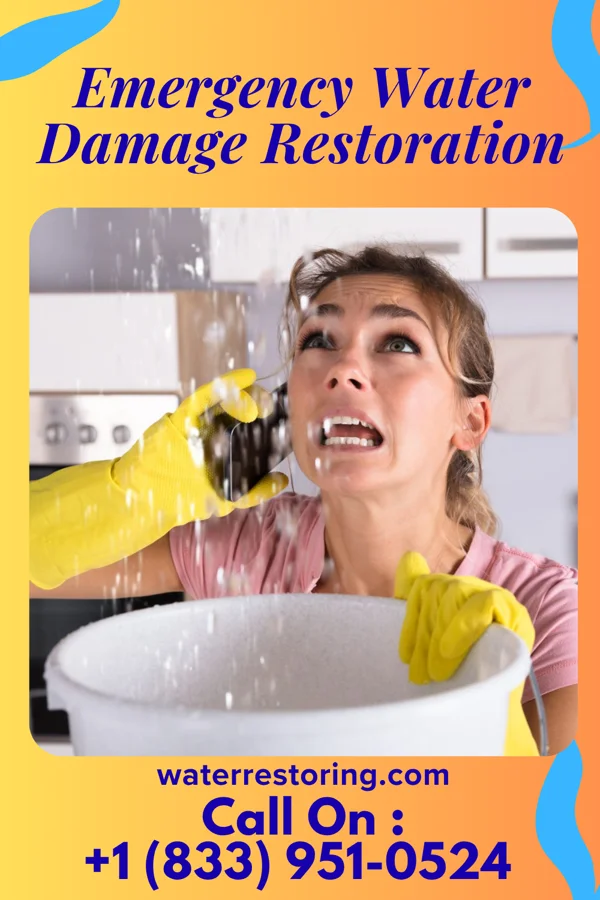 Emergency Water Damage Restoration in Trenton, UT