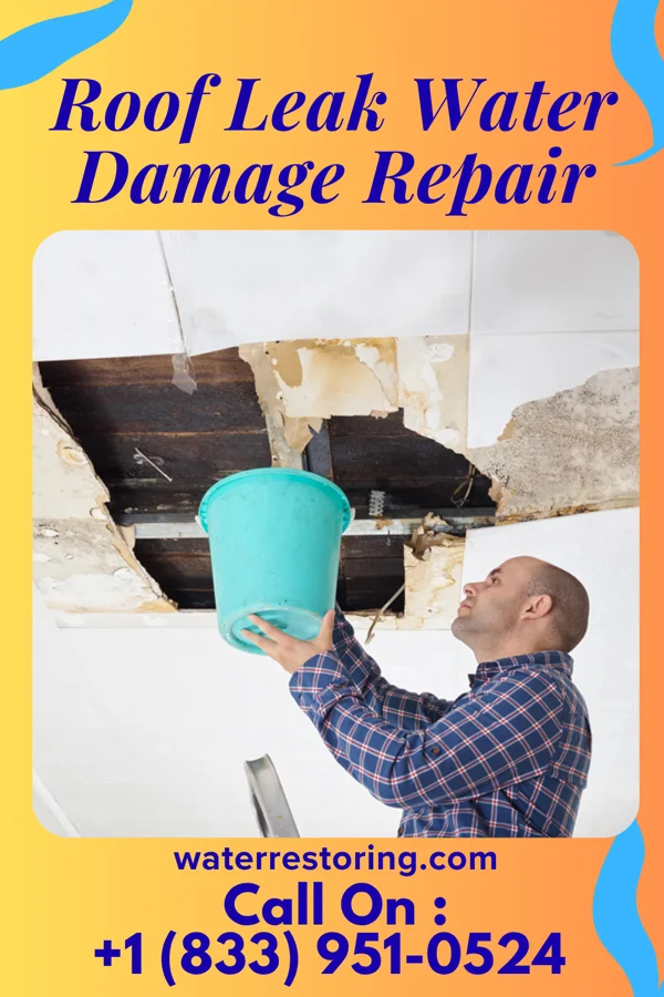 Roof Leak Water Damage Repair in Trenton, UT