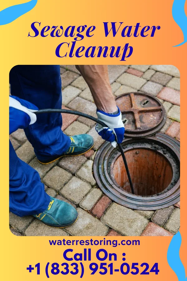 Sewage Water Cleanup in Trenton, UT